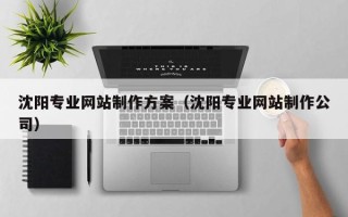 新泰沈阳专业网站制作方案（沈阳专业网站制作公司）